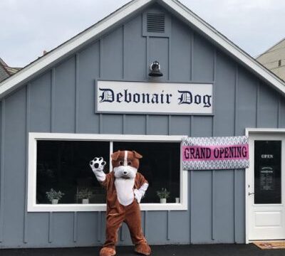 Debonair Dog