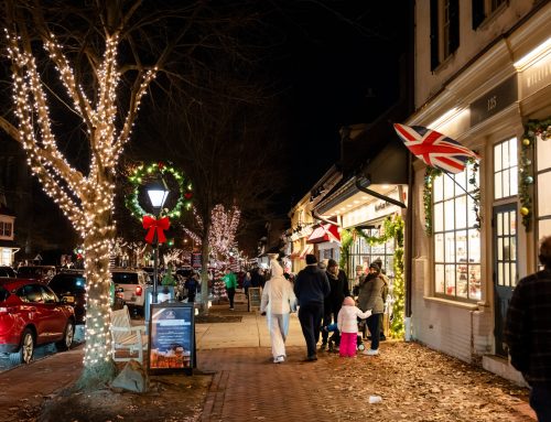Seeking Bids for 2026 Holiday Lighting Services